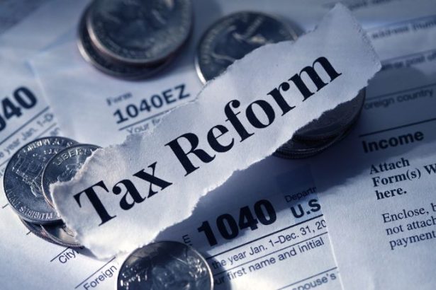 Bruno Garcia Redondo