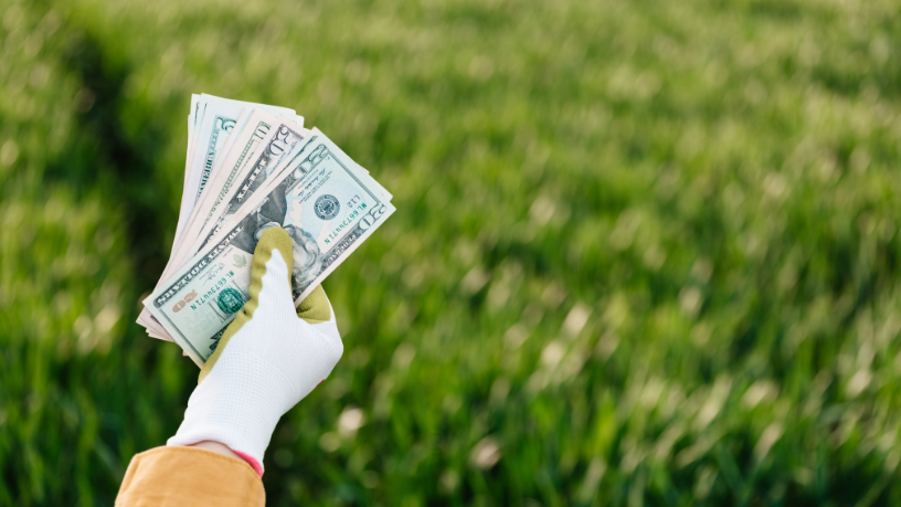 Planejamento e gestão são as bases para um campo mais produtivo e sustentável, reforça Fabio Jose Gentil Pereira Rosa.