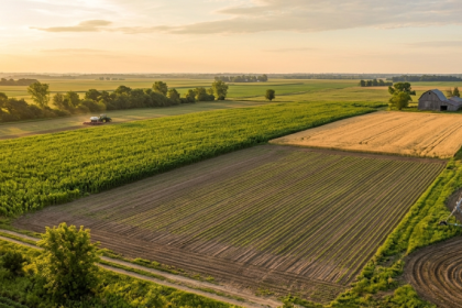 Alfredo Moreira Filho